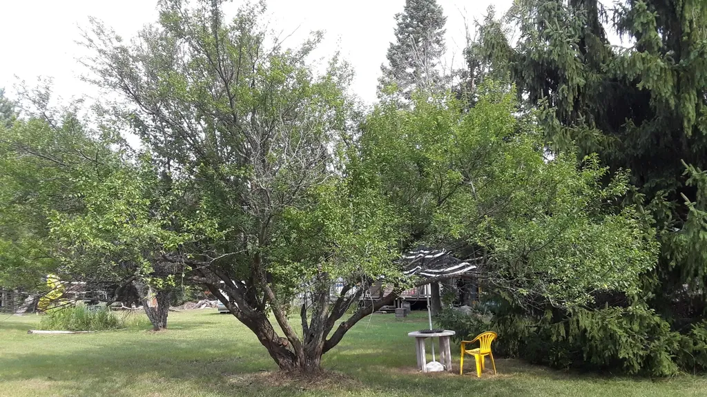 2960 Arbutus Hill Road Unknown City MI 49696