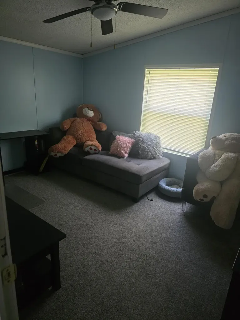 218 E Lake Street Crystal Township MI 48818