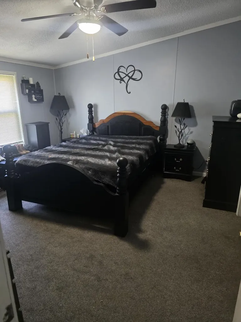218 E Lake Street Crystal Township MI 48818