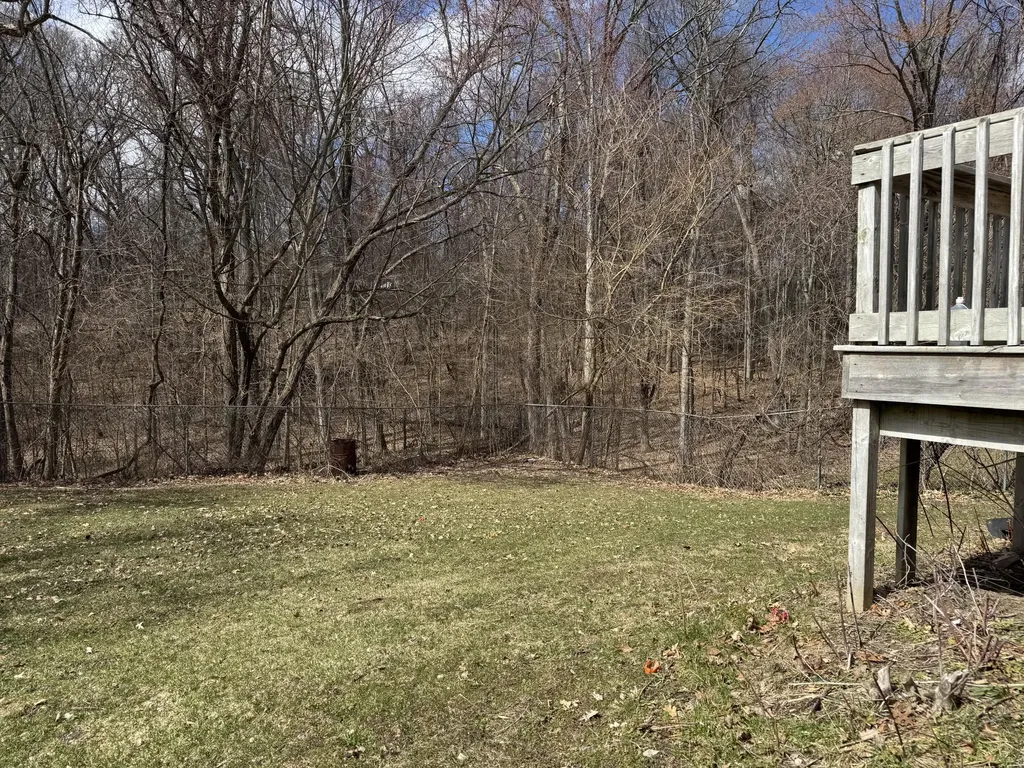 10736 Woodbushe Drive SE Lowell Charter Township MI 49331