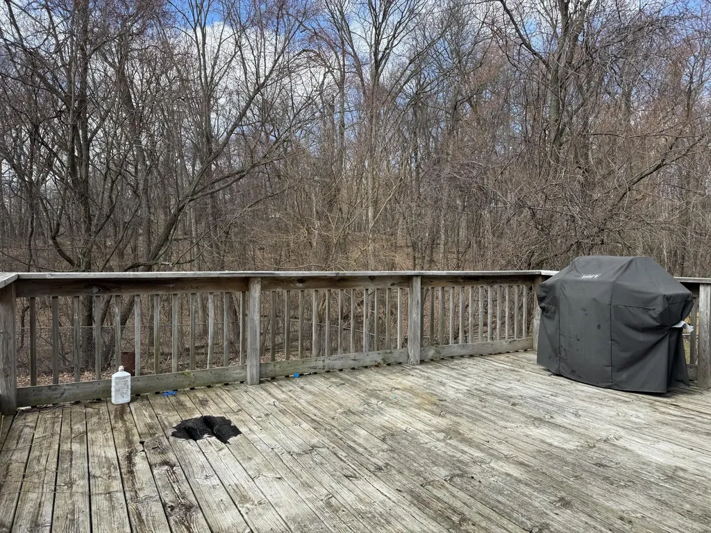 10736 Woodbushe Drive SE Lowell Charter Township MI 49331