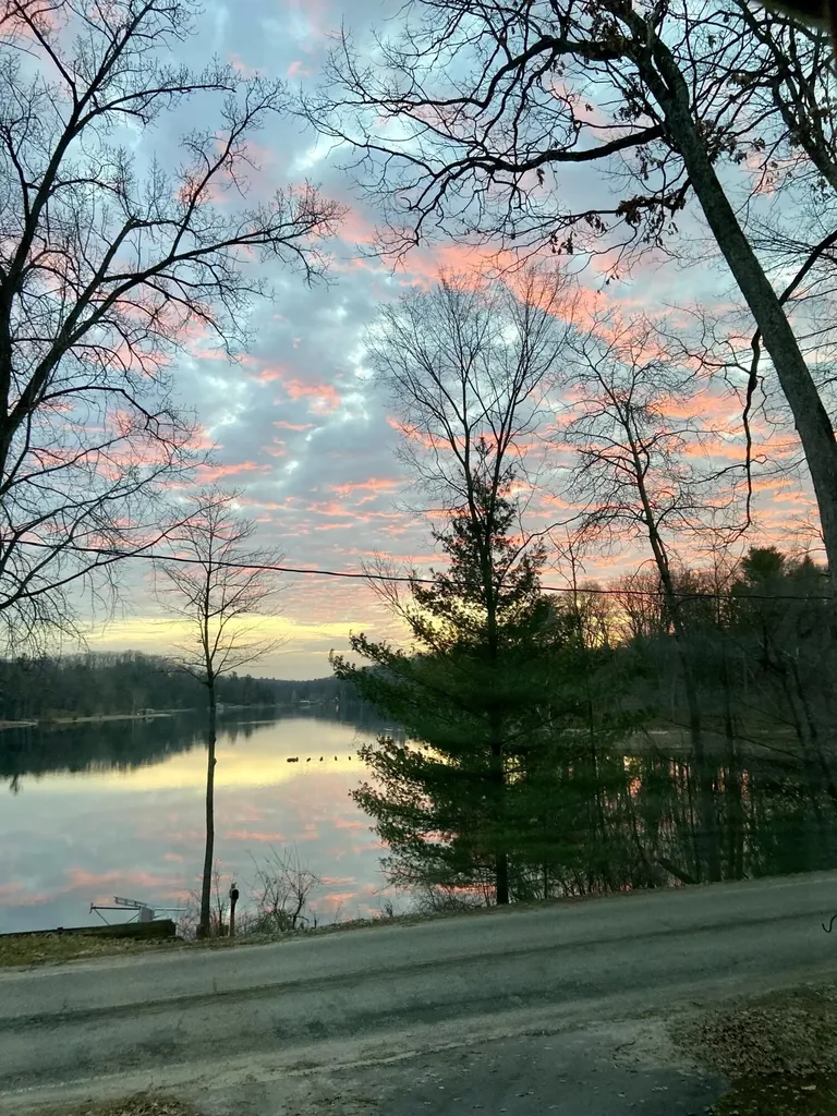 5217 S Centerline Road Brooks Township MI 49337