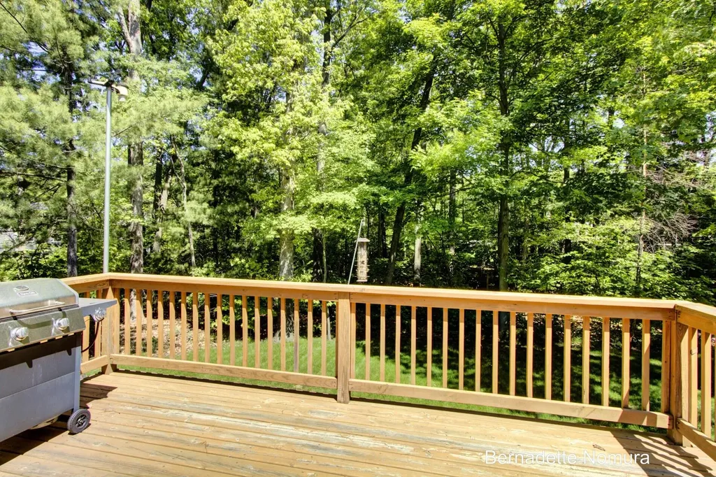 14347 Johnson Street Robinson Township MI 49417