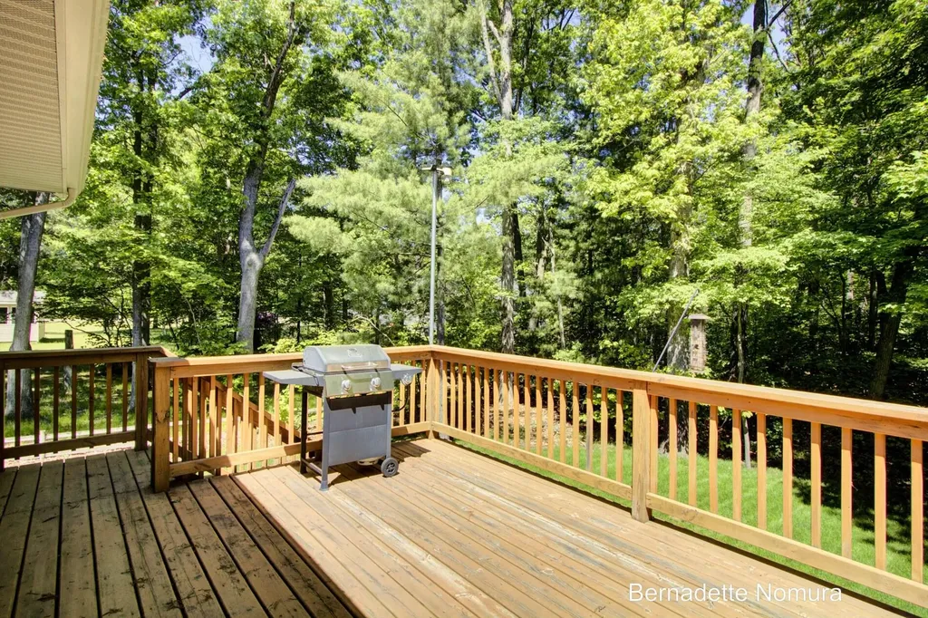 14347 Johnson Street Robinson Township MI 49417