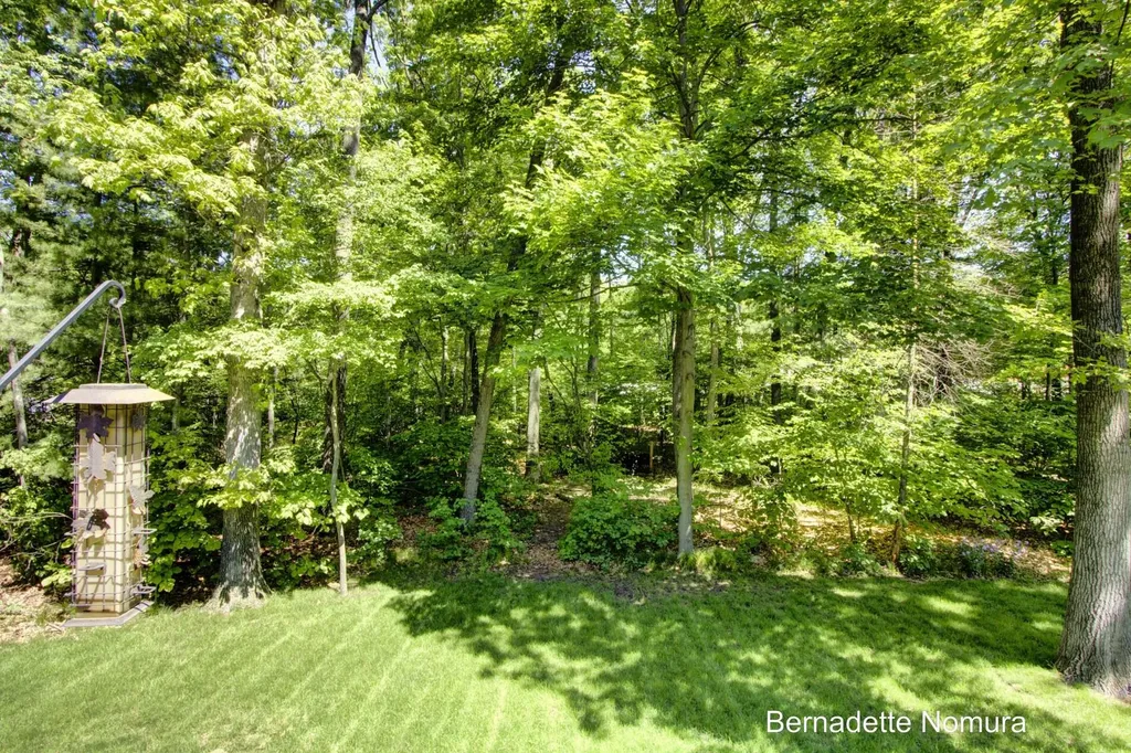 14347 Johnson Street Robinson Township MI 49417
