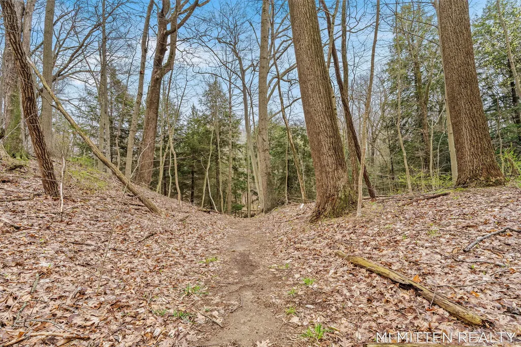 2322 Forest Trail Circle Ganges Township MI 49408