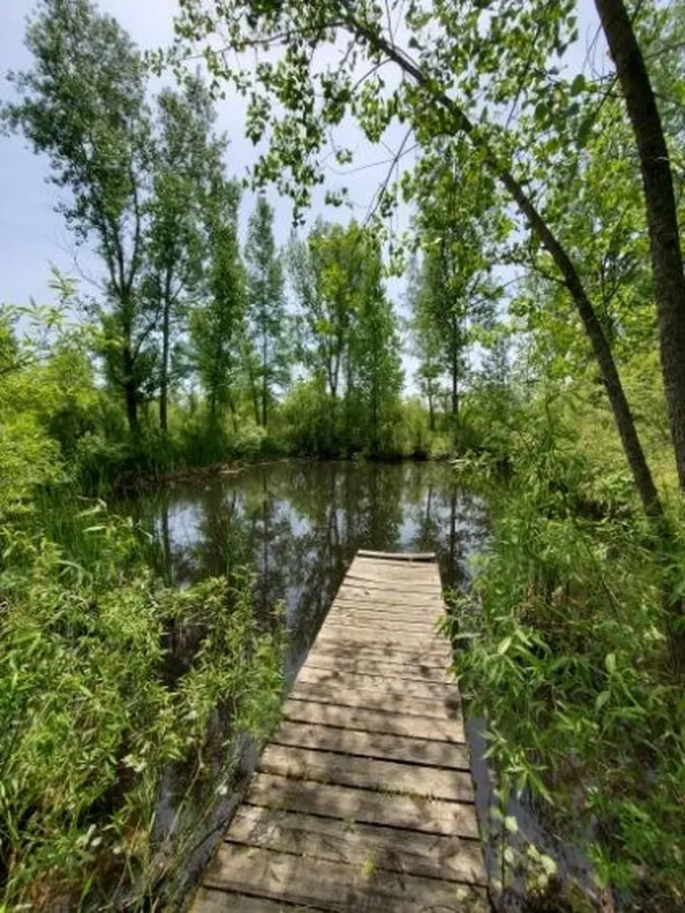 1120 S Loomis Road Chippewa Township MI 48858