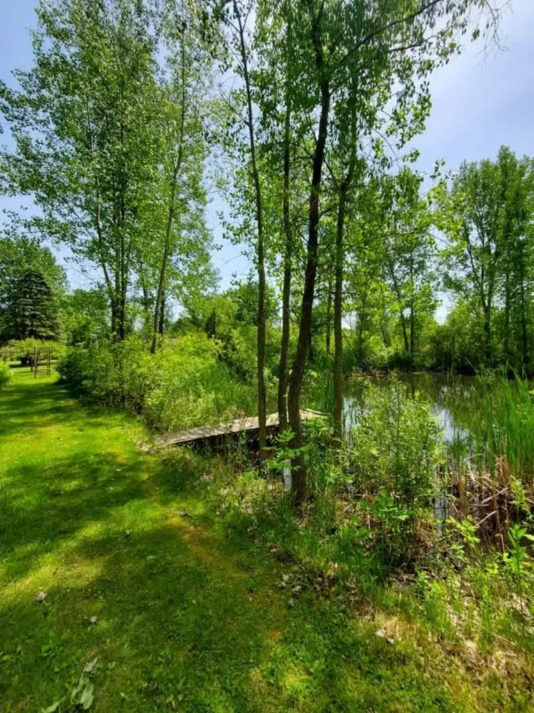 1120 S Loomis Road Chippewa Township MI 48858