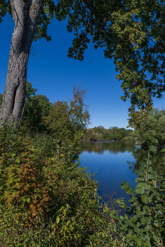 135 Jeremy Street Constantine Village MI 49042