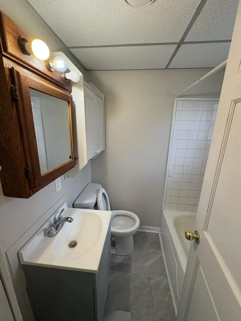 258 E Adams Street Ionia City MI 48846