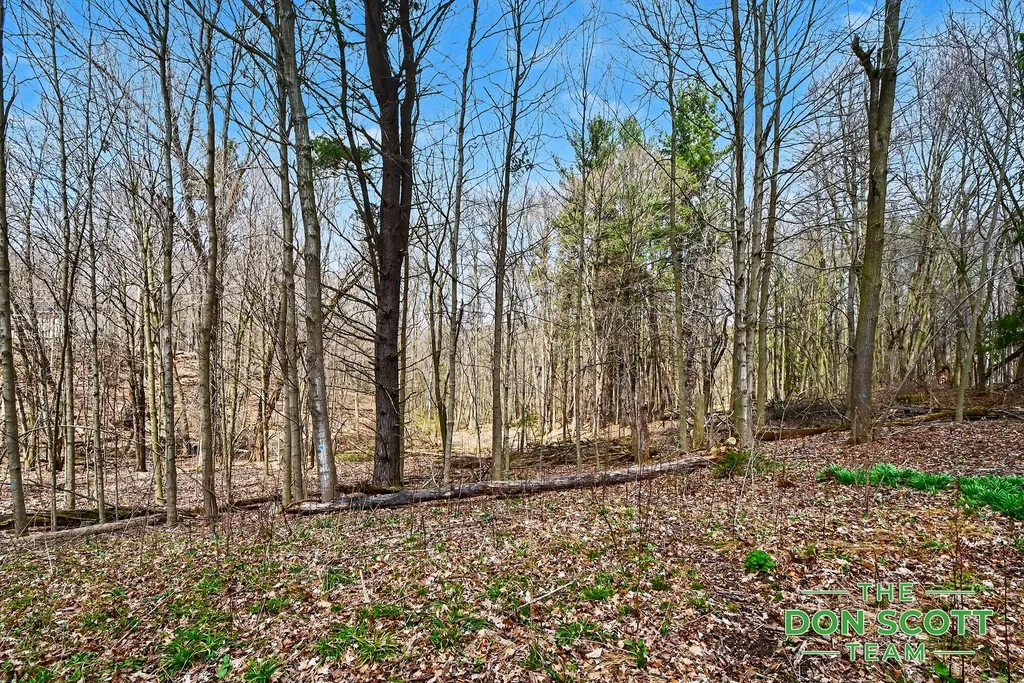 2589 Rector Avenue NE Algoma Township MI 49341