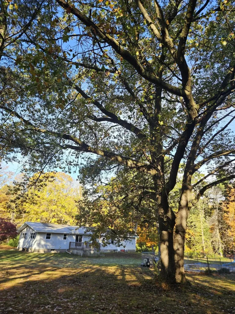 7040 Holly Drive Port Sheldon Township MI 49460