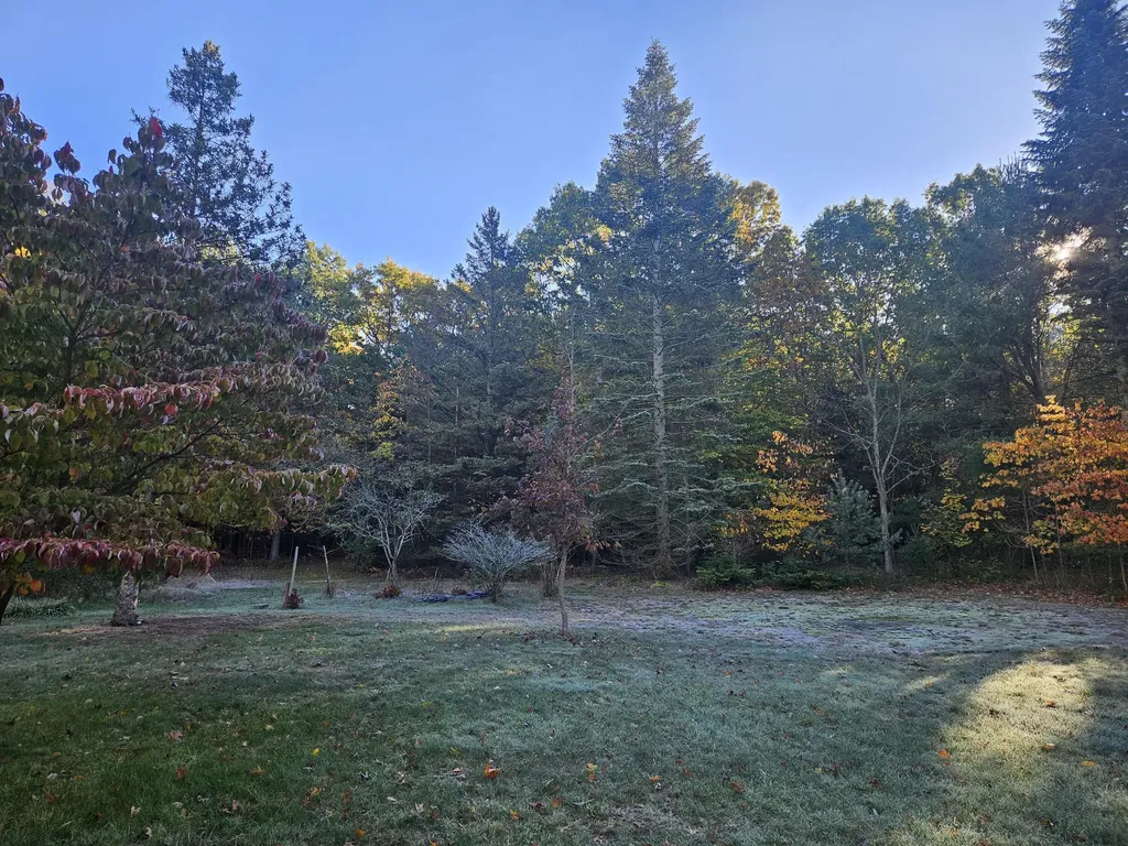 7040 Holly Drive Port Sheldon Township MI 49460