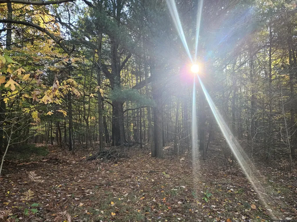 7040 Holly Drive Port Sheldon Township MI 49460