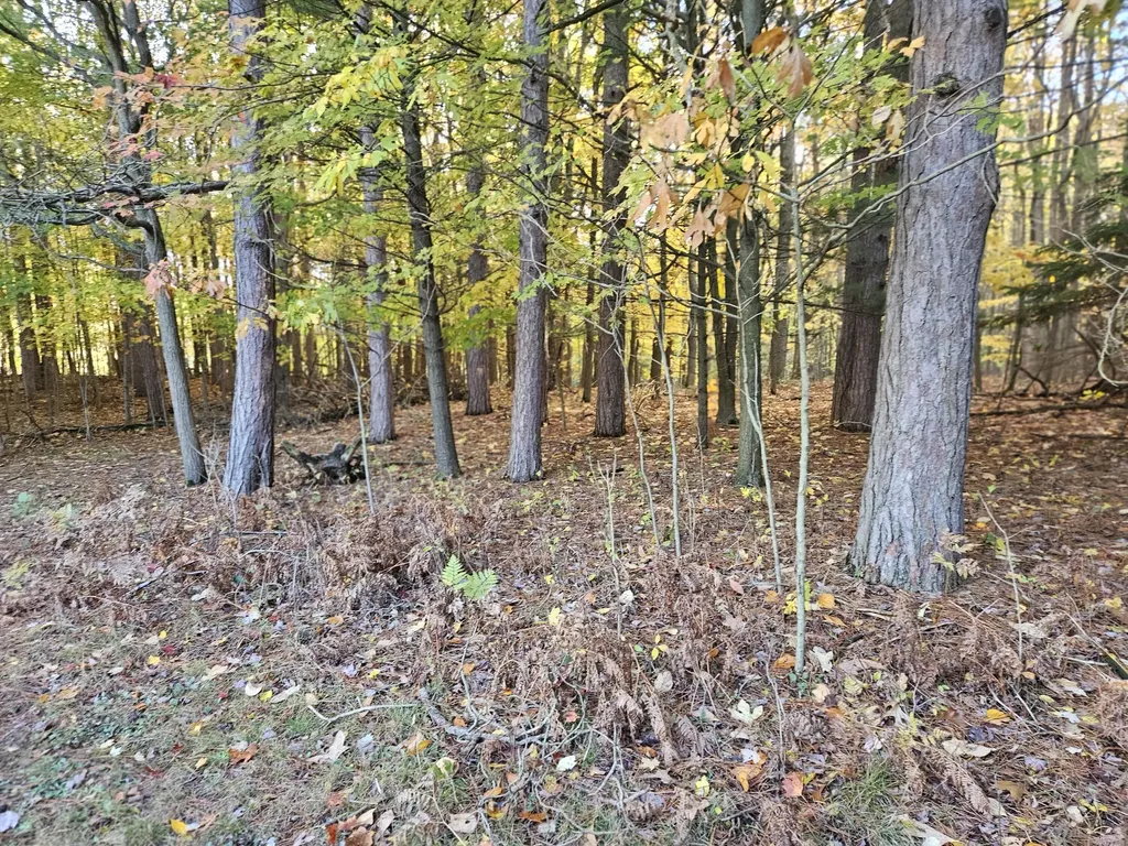 7040 Holly Drive Port Sheldon Township MI 49460