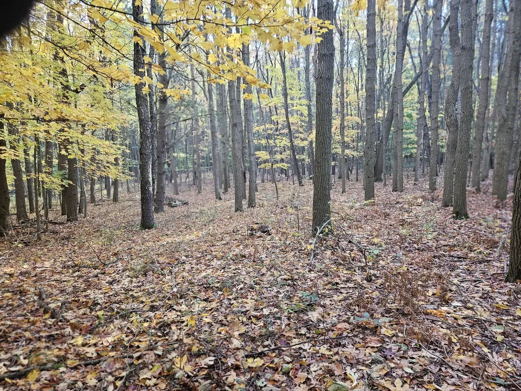 7040 Holly Drive Port Sheldon Township MI 49460