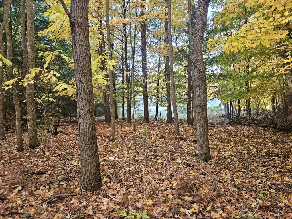 7040 Holly Drive Port Sheldon Township MI 49460