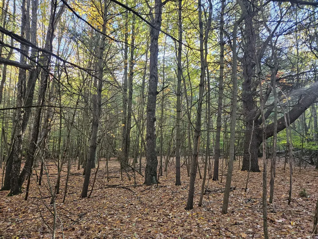 7040 Holly Drive Port Sheldon Township MI 49460