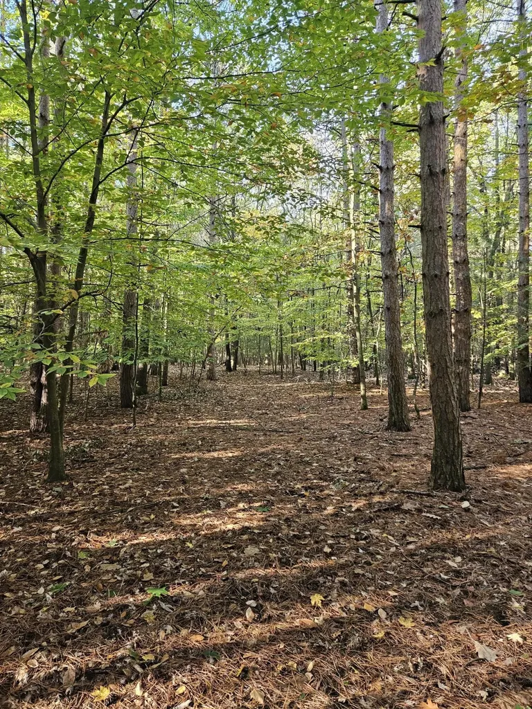 7040 Holly Drive Port Sheldon Township MI 49460
