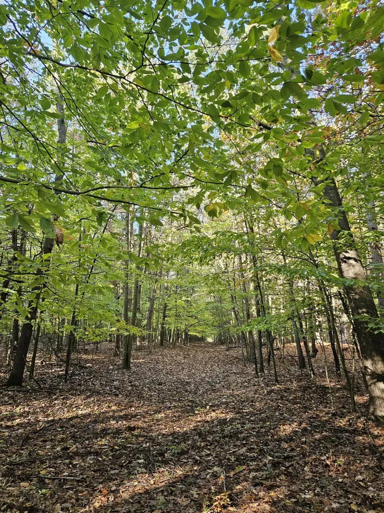 7040 Holly Drive Port Sheldon Township MI 49460