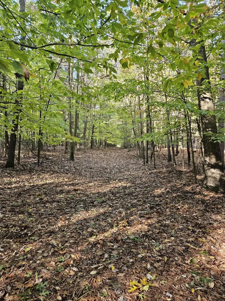 7040 Holly Drive Port Sheldon Township MI 49460