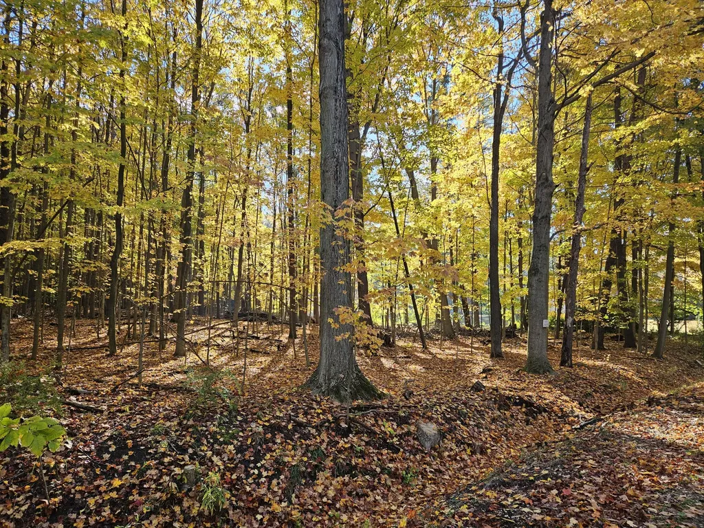 7040 Holly Drive Port Sheldon Township MI 49460