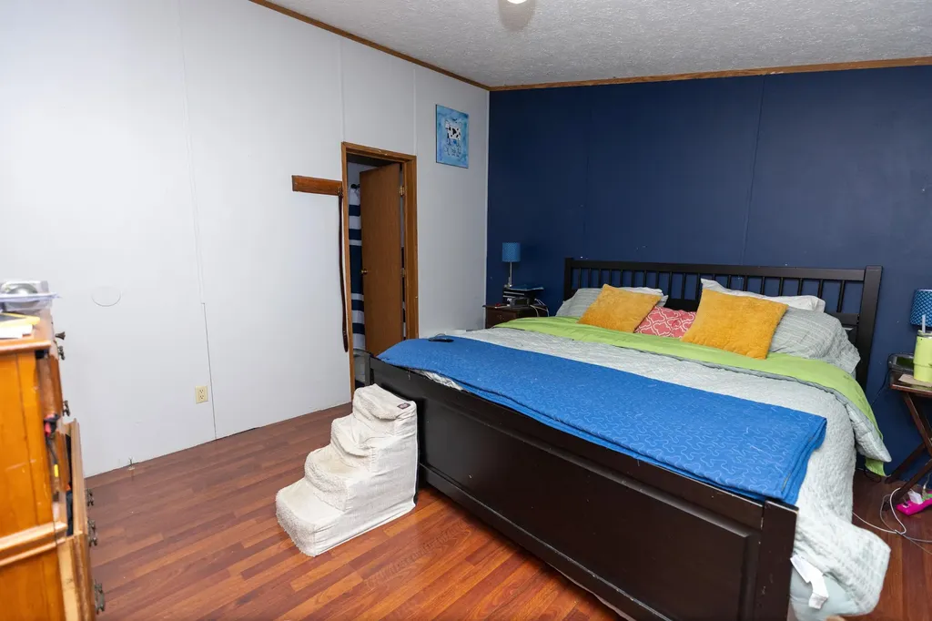 2822 Olmstead Road Lyons Township MI 48860