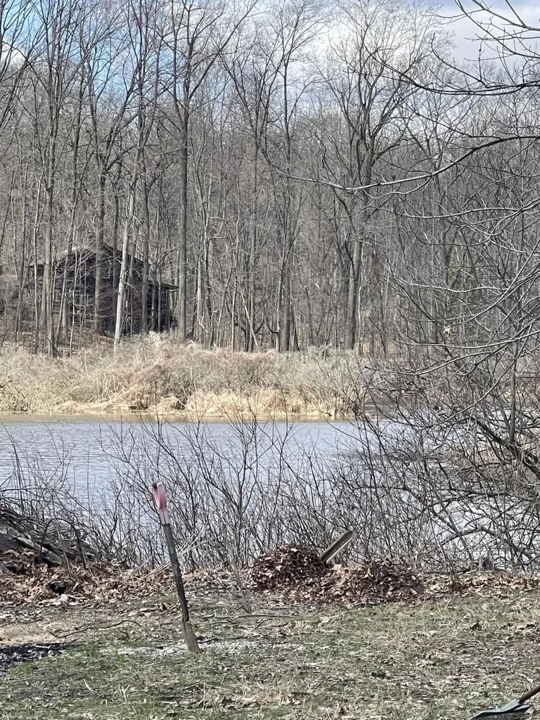 5024 M-37 Baltimore Township MI 49058