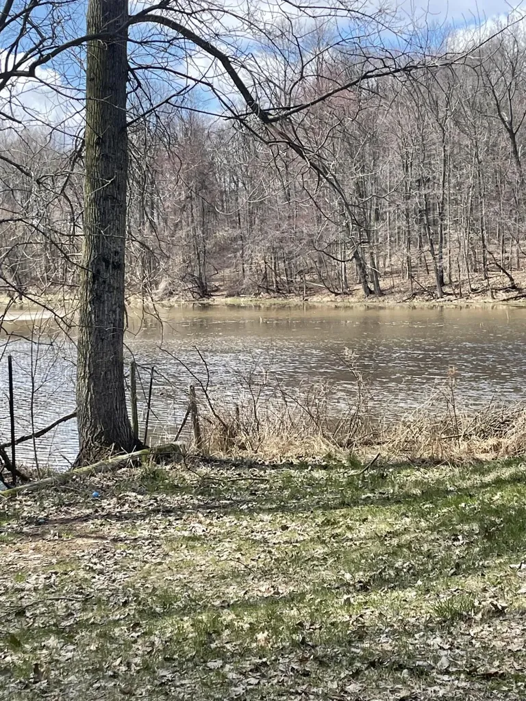5024 M-37 Baltimore Township MI 49058