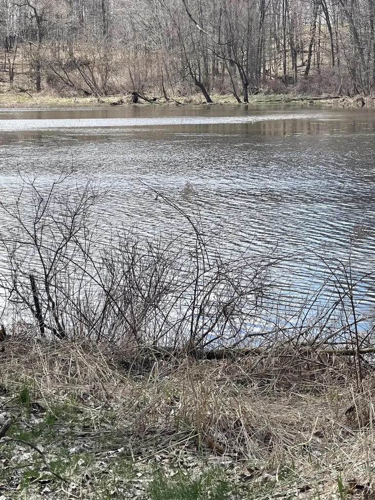 5024 M-37 Baltimore Township MI 49058