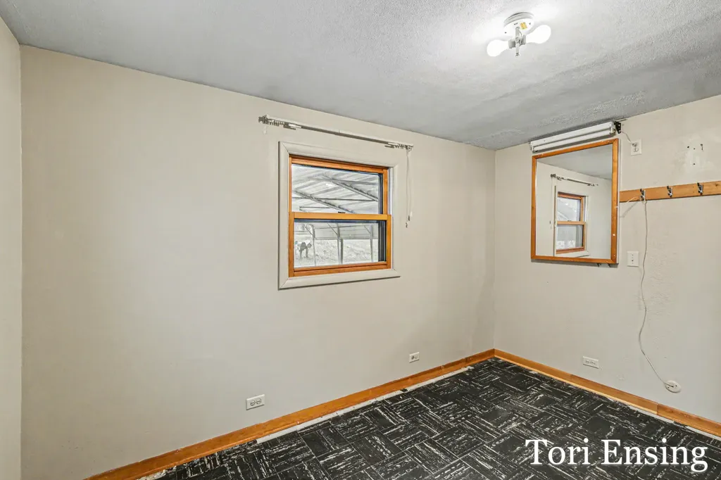 151 S Turk Lake Drive Montcalm Township MI 48838