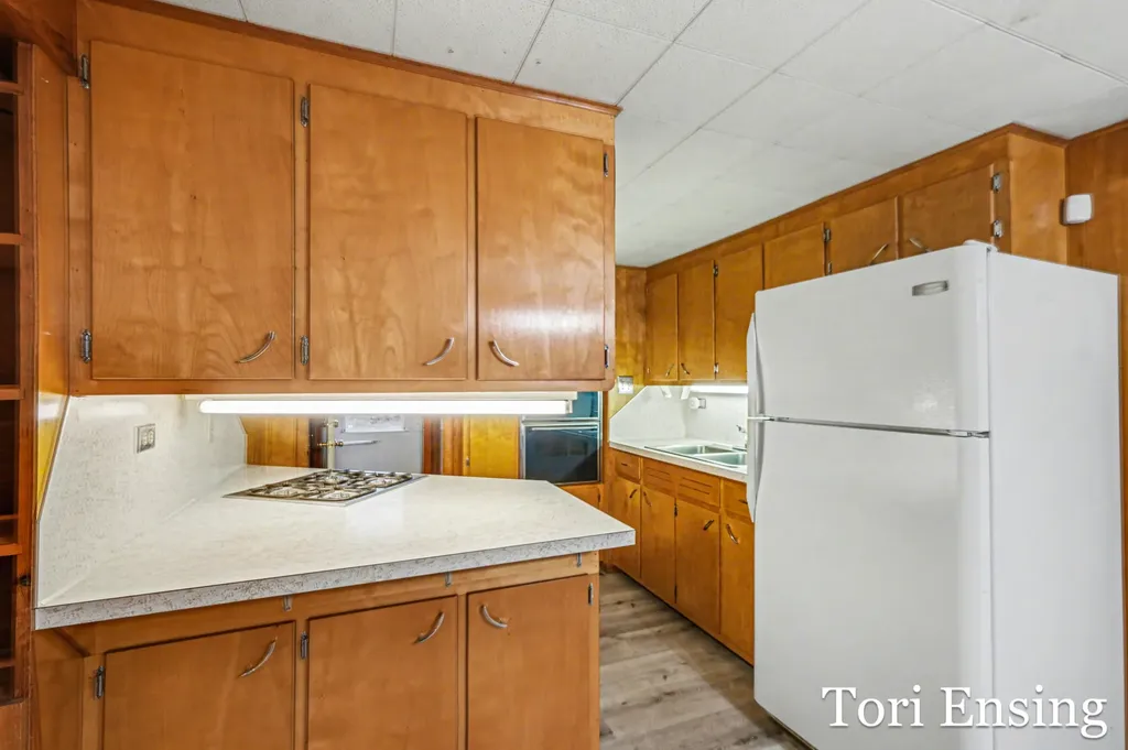 151 S Turk Lake Drive Montcalm Township MI 48838