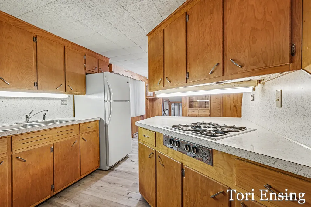 151 S Turk Lake Drive Montcalm Township MI 48838