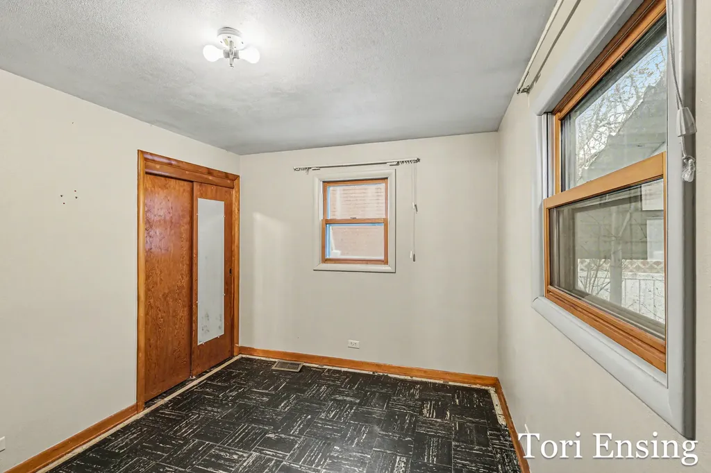 151 S Turk Lake Drive Montcalm Township MI 48838
