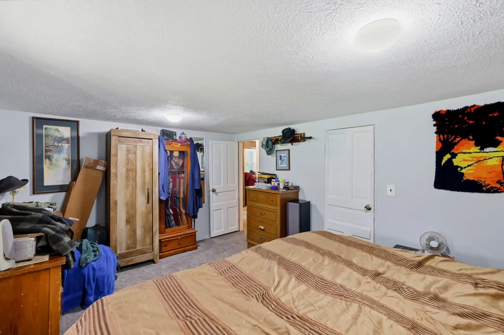10109 W Wise Road Eureka Township MI 48838