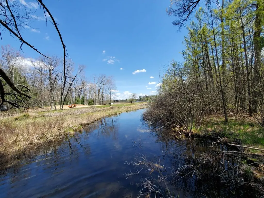 1153 W Channel Street Lilley Township MI 49309