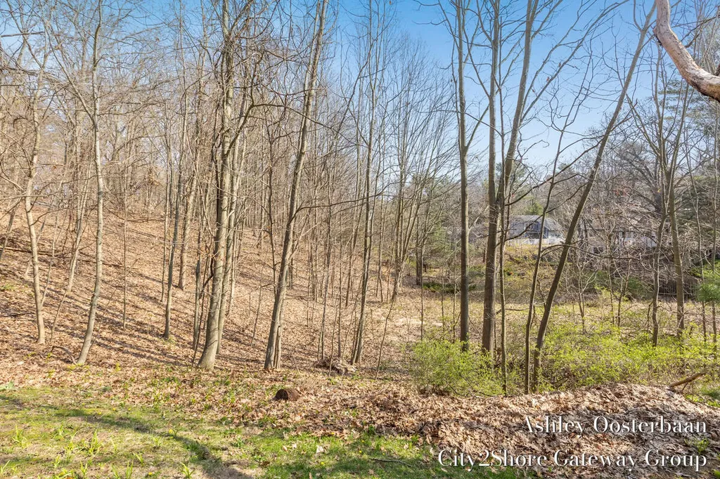 17265 Rolling Dunes Drive Port Sheldon Township MI 49460