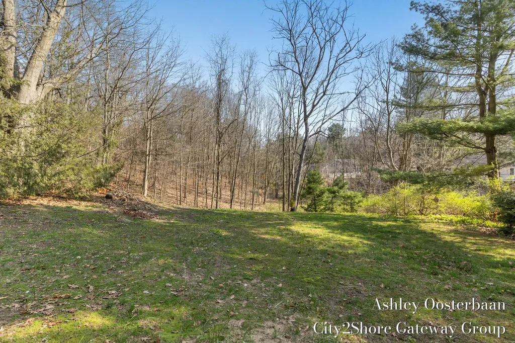 17265 Rolling Dunes Drive Port Sheldon Township MI 49460