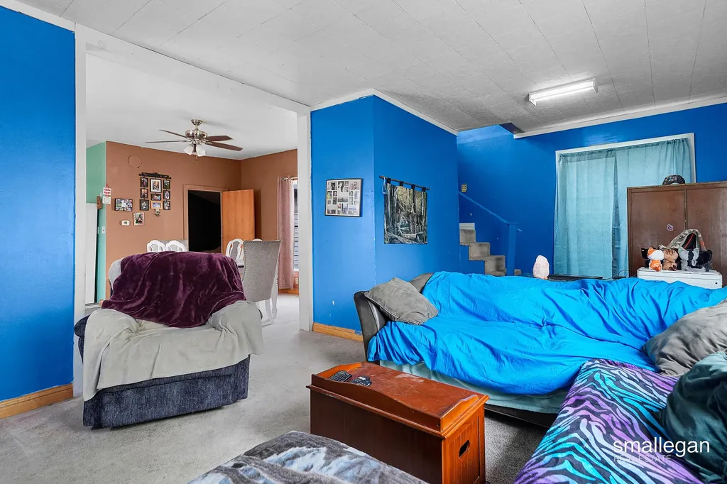 207 N Queen Street Nashville Village MI 49073