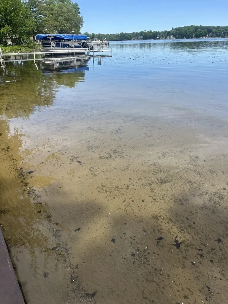 3185 Elmwood Beach Road Yankee Springs Township MI 49333