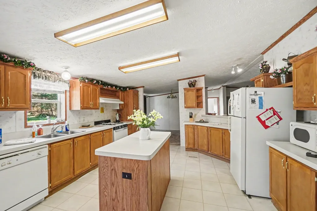 20240 10th Avenue Fork Township MI 49305