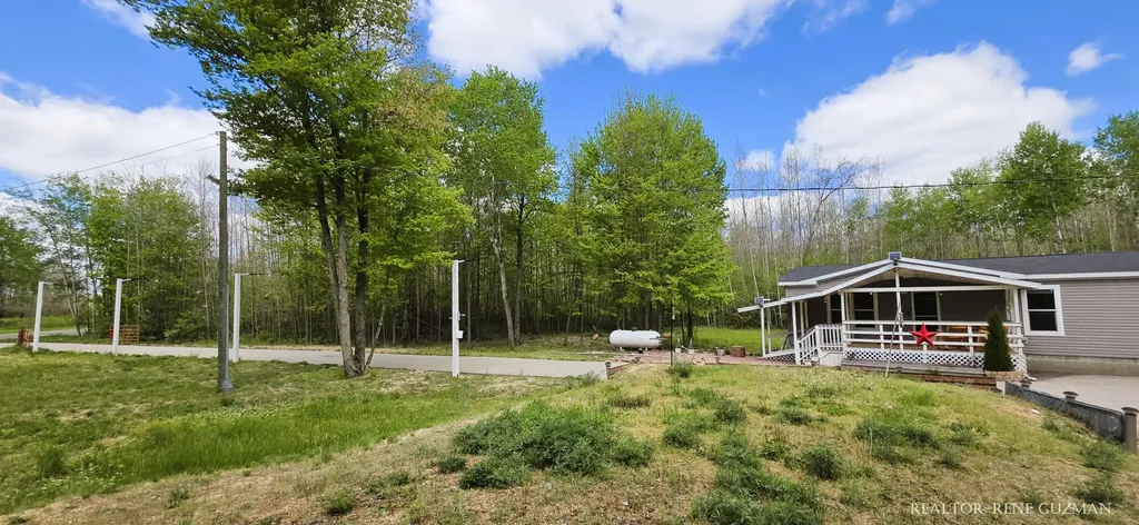 2815 E Monroe Street Wilcox Township MI 49349