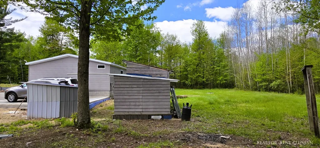 2815 E Monroe Street Wilcox Township MI 49349