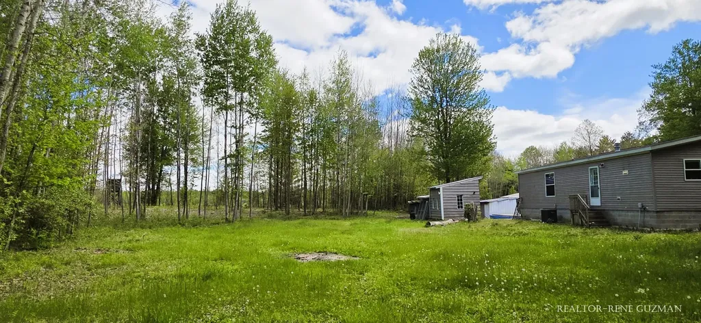 2815 E Monroe Street Wilcox Township MI 49349