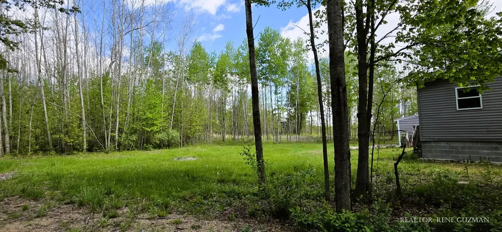 2815 E Monroe Street Wilcox Township MI 49349