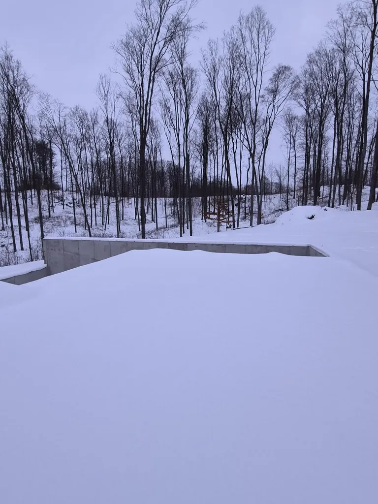 16314 Mitchell Creek Trail Big Rapids Charter Township MI 49307