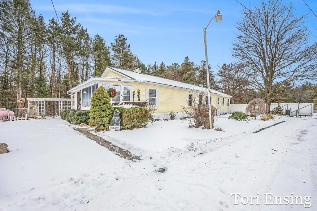 25/29 S Greenville Road Montcalm Township MI 48838