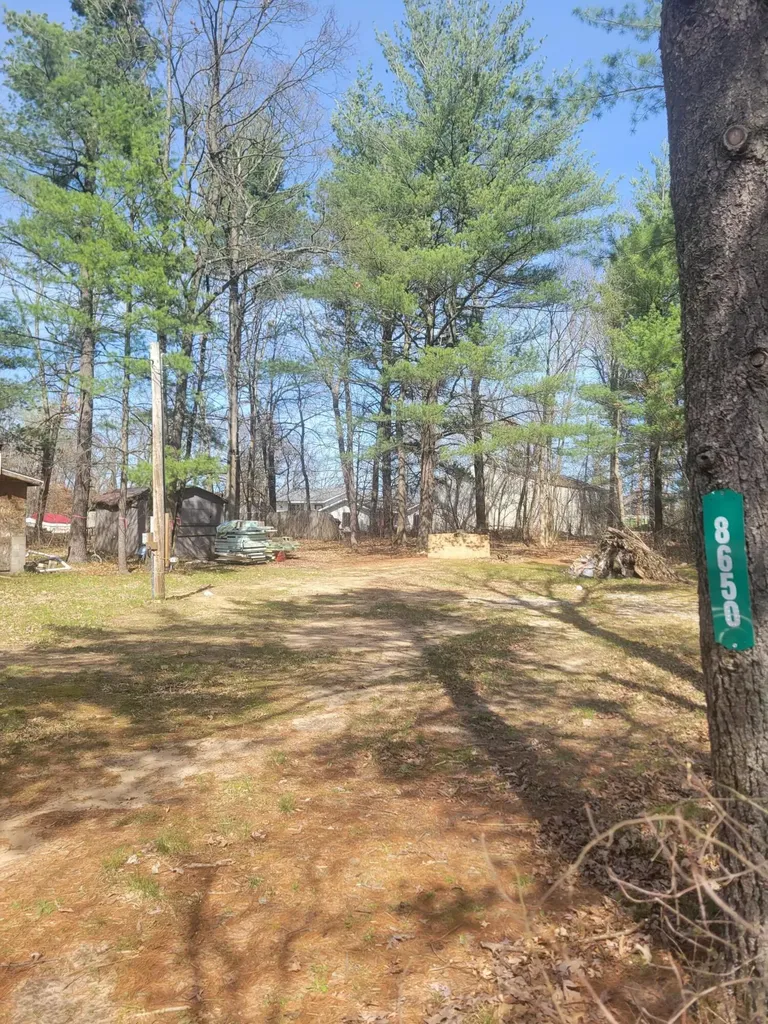 8650 Paw Paw Trail Reynolds Township MI 49329