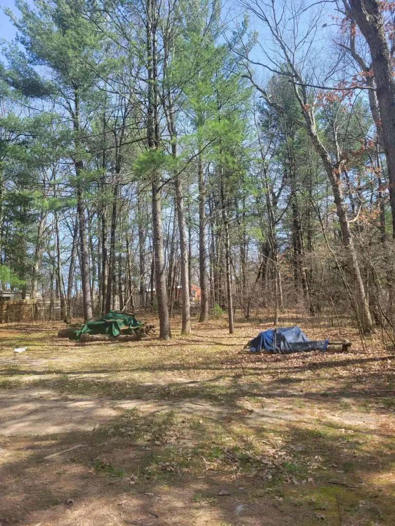 8650 Paw Paw Trail Reynolds Township MI 49329