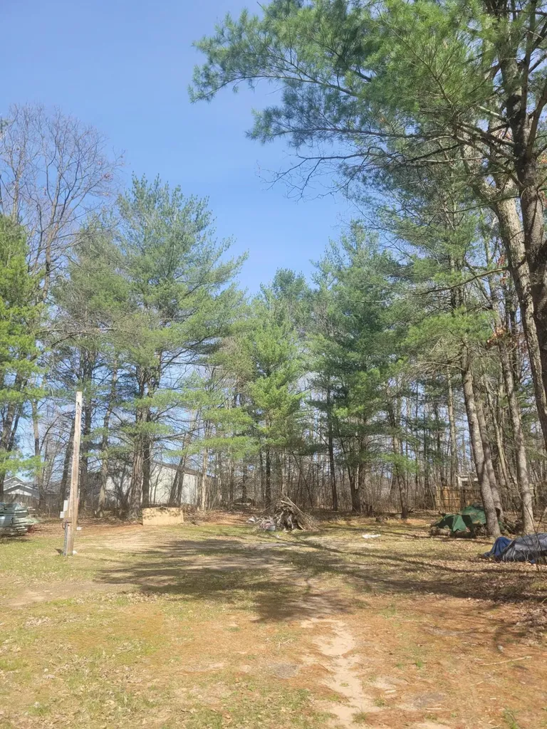 8650 Paw Paw Trail Reynolds Township MI 49329